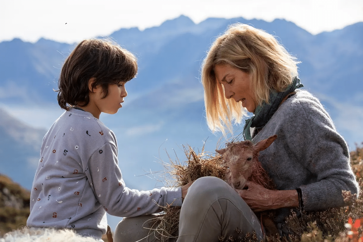 Belle e Sebastien Next Generation finale: cosa succede