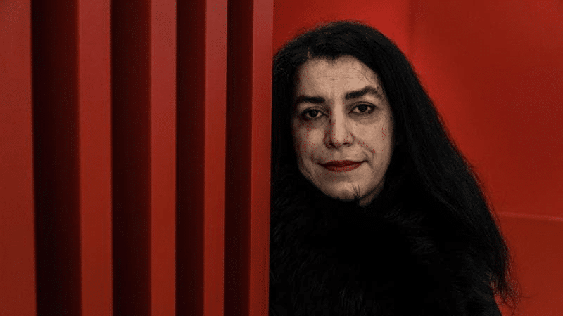 Marjane Satrapi morta a 56 anni: i film da Persepolis