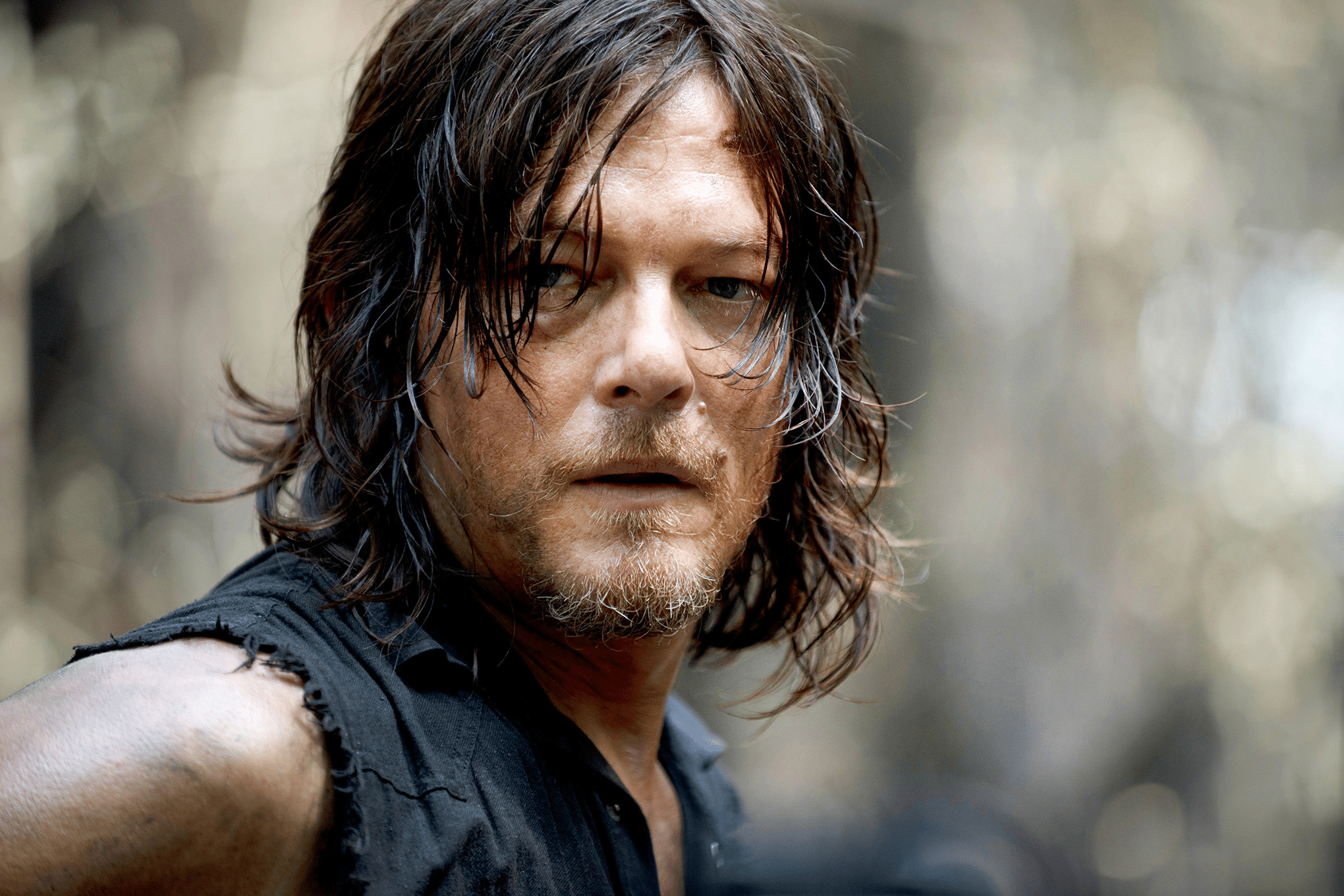 Norman reedus lascia the walking dead: ultimo viaggio