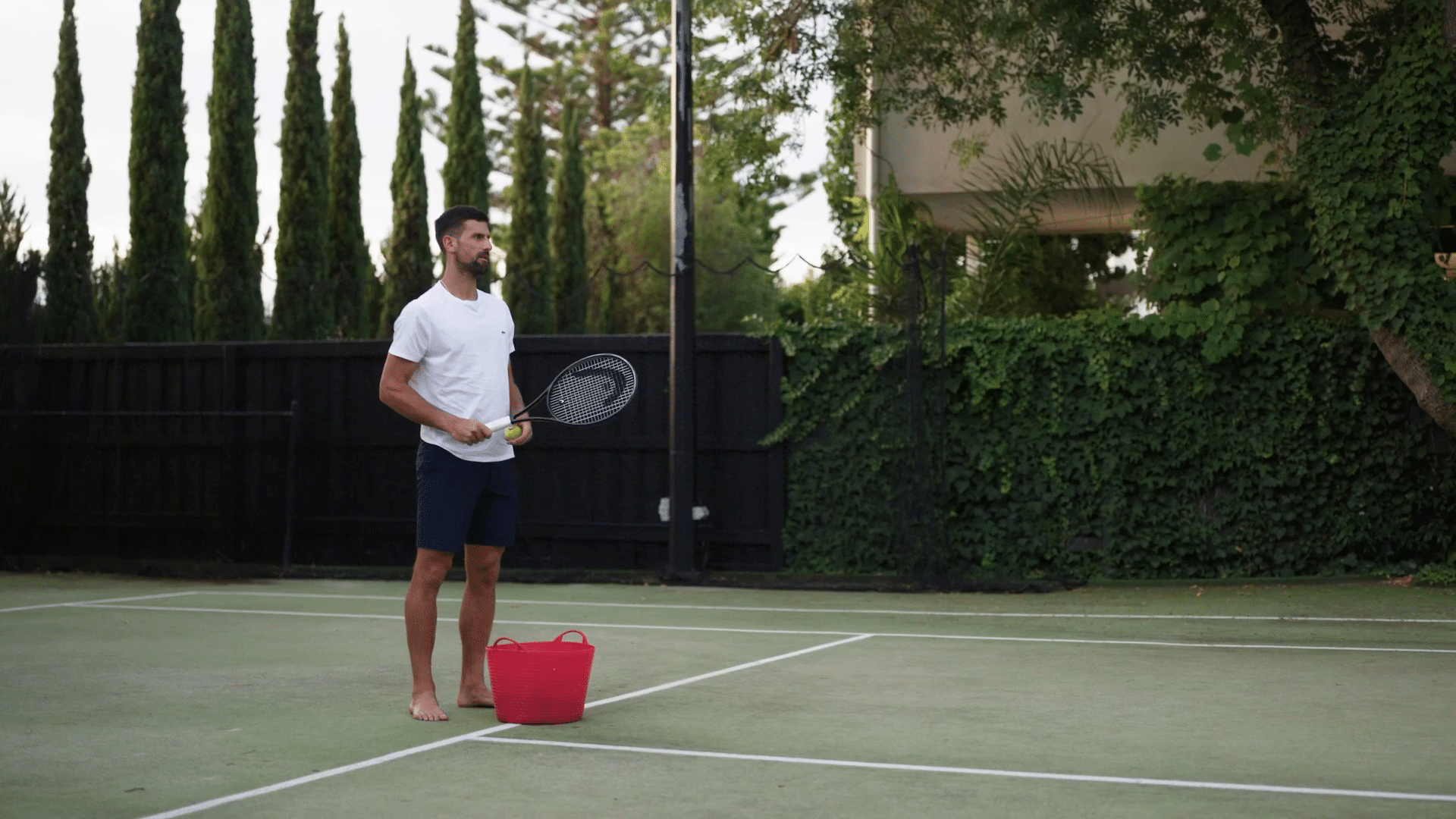 Novak Djokovic: Il lupo d'inverno dal 20 agosto su Prime