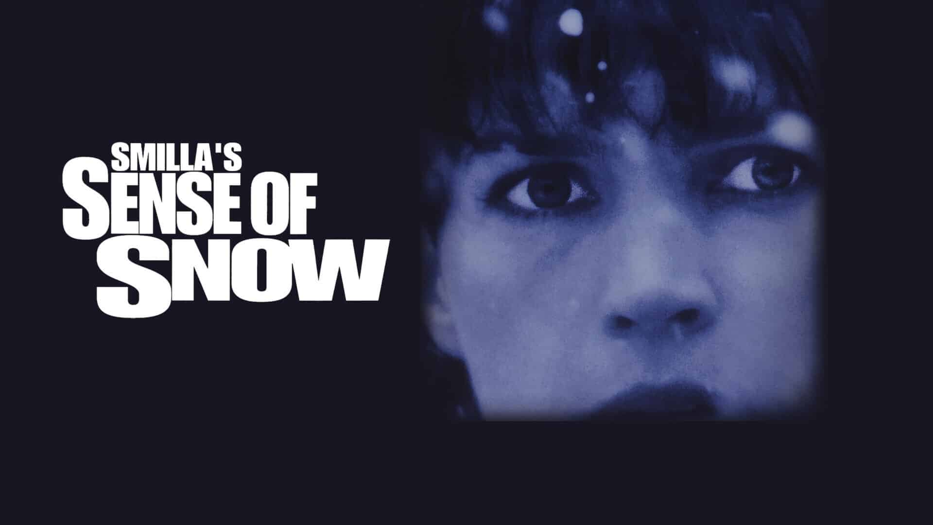 Il senso di Smilla per la neve - immagine della scena