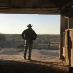 Dutton ranch 2 accelera su paramount+, ma manca la data