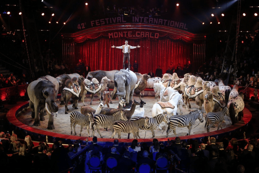 Festival del Circo di Montecarlo stasera su Rai 1: orario e programma