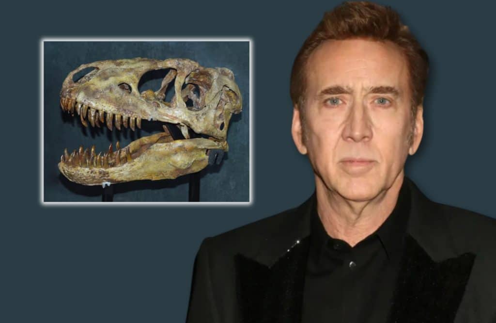 Nicolas Cage e quel curioso caso di furto involontario Nicolas Cage dinosauro Mongolia