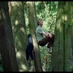 Silent friend arriva in sala, enyedi riparte da un ginkgo