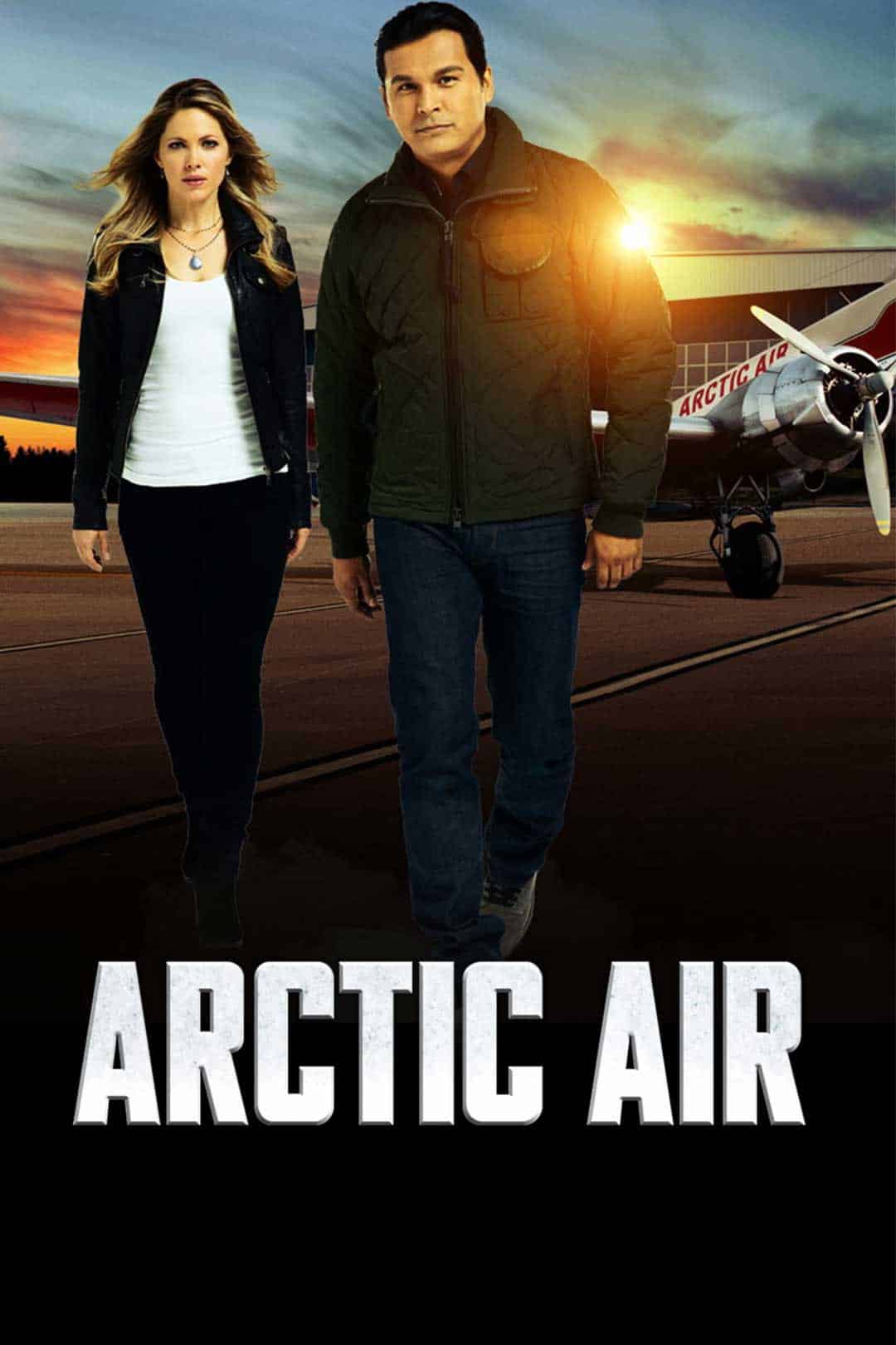 Come finisce Arctic? Il finale spiegato: Overgård viene salvato? Arctic Air - locandina del film