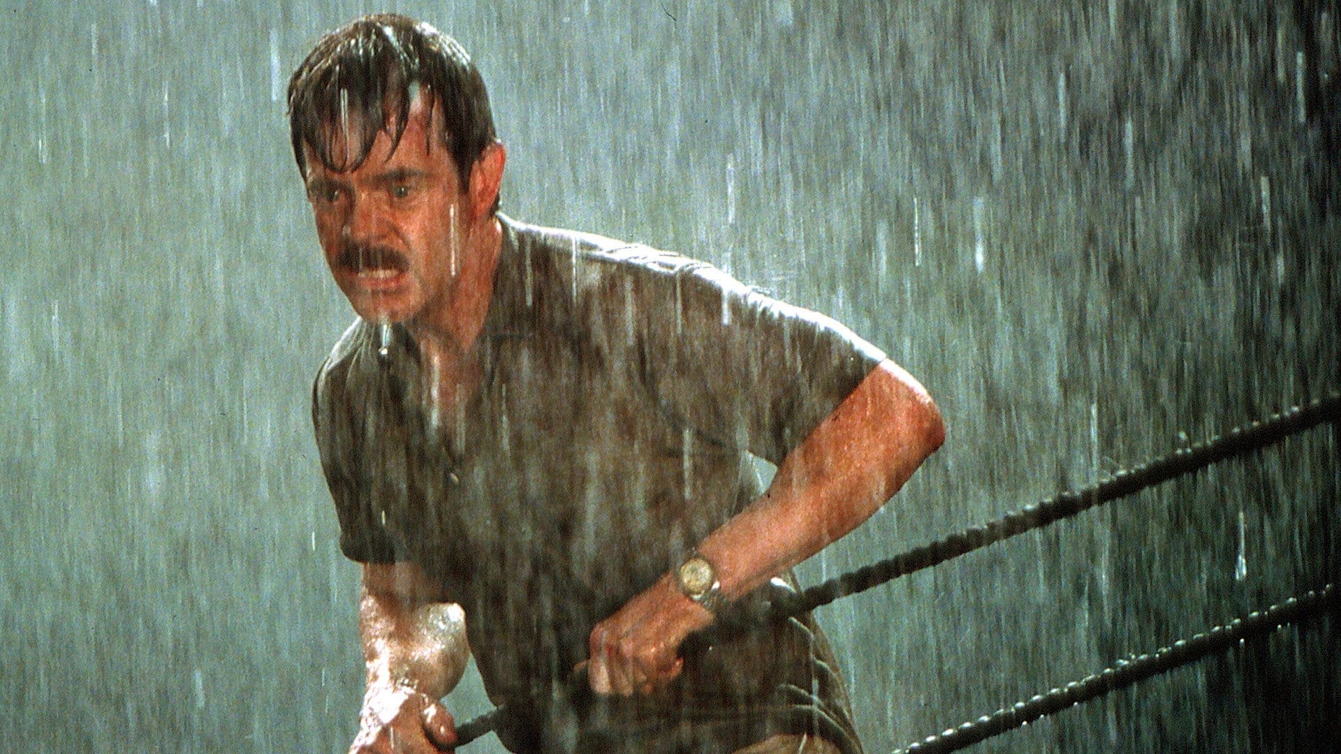 Come finisce Jurassic Park III? Il finale con Alan Grant spiegato Jurassic Park III - fotogramma del film