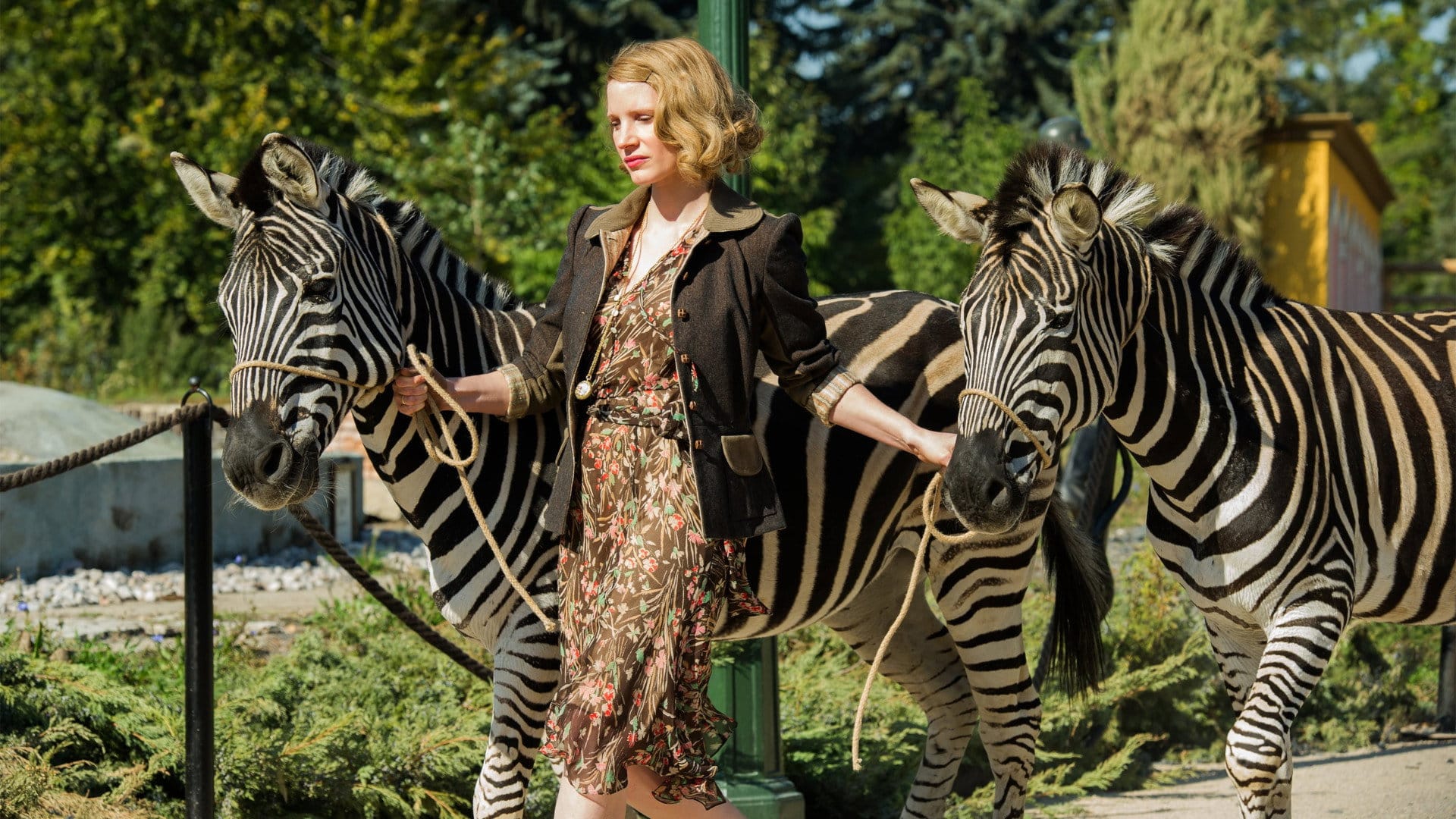 La signora dello zoo di Varsavia - fotogramma del film