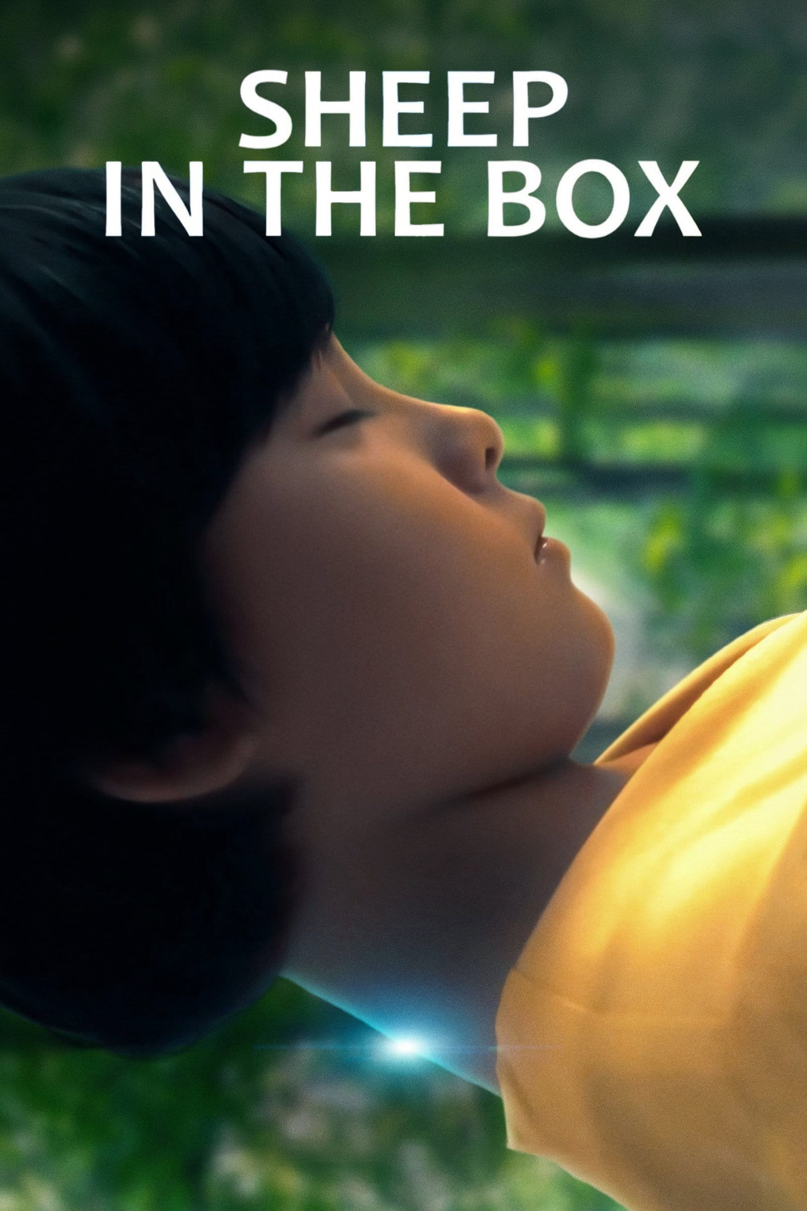 Sheep in the Box - locandina del film