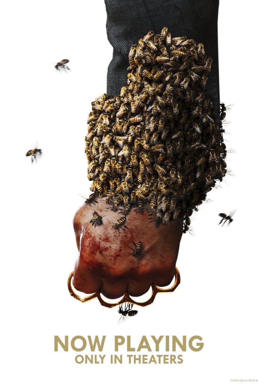 The Beekeeper - locandina del film
