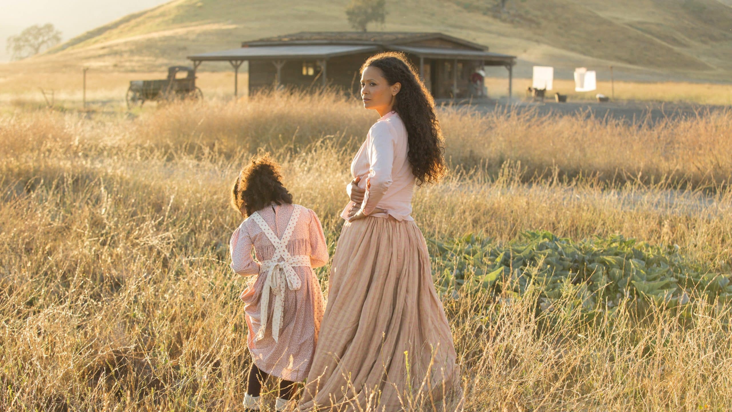 Westworld - Dove tutto è concesso - fotogramma del film