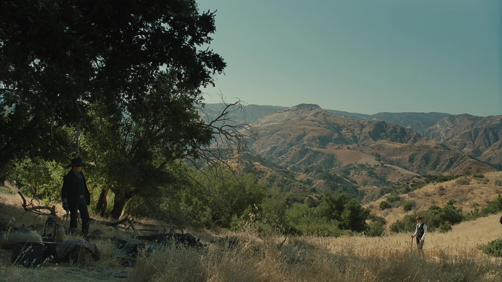 Westworld - Dove tutto è concesso - fotogramma del film