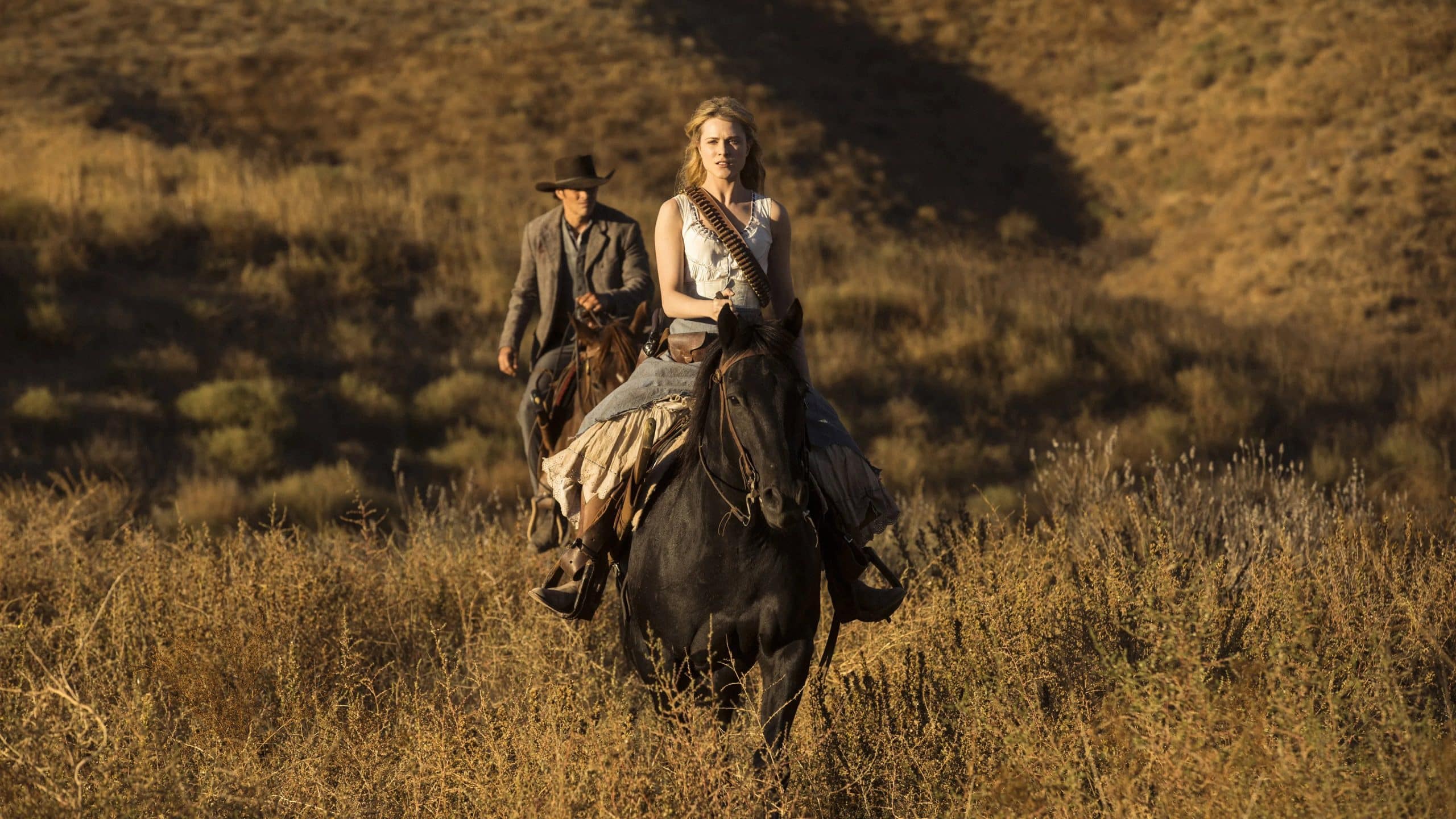 Westworld - Dove tutto è concesso - fotogramma del film