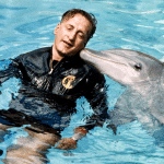 Il giorno del delfino: i delfini militari esistono? La storia di john lilly