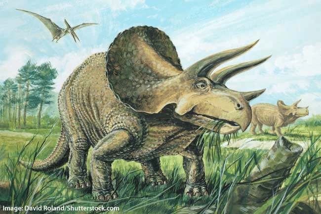 La Fine di Oak Street: quali dinosauri compaiono nel film?