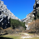 The dog stars dove è stato girato? Le location italiane