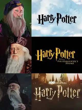 Harry potter: libro, film e serie hbo, 10 personaggi a confronto Albus silente confronto libri film serie hbo