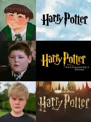Harry potter: libro, film e serie hbo, 10 personaggi a confronto Dudley dursley confronto libri film serie hbo