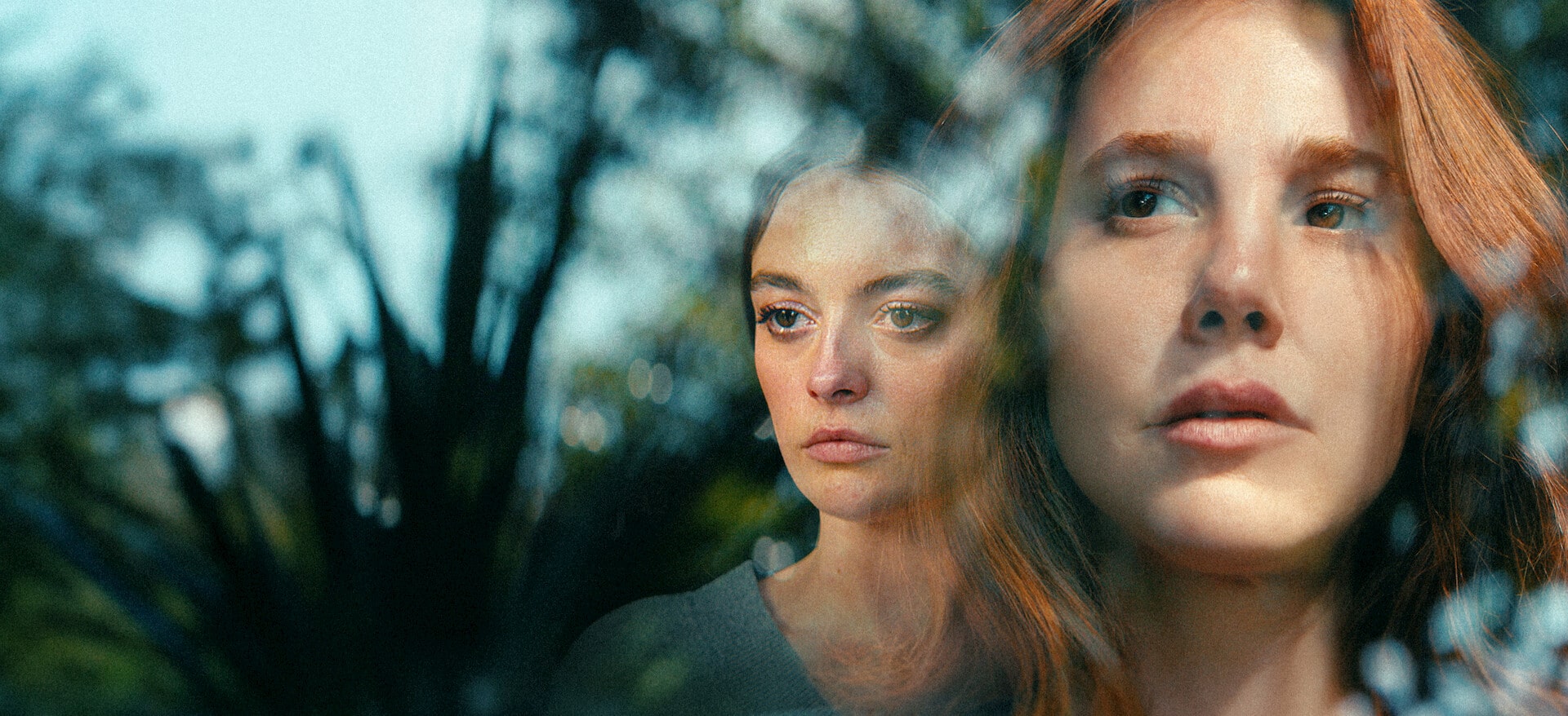 Not a stranger su netflix: trama, cast e quando esce