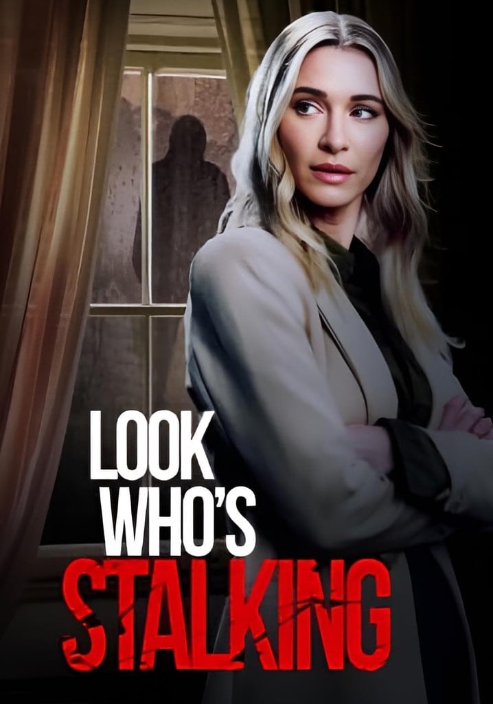 Ritorno nell'incubo poster del film look who's stalking