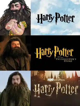 Harry potter: libro, film e serie hbo, 10 personaggi a confronto Rubeus hagrid confronto libri film serie hbo
