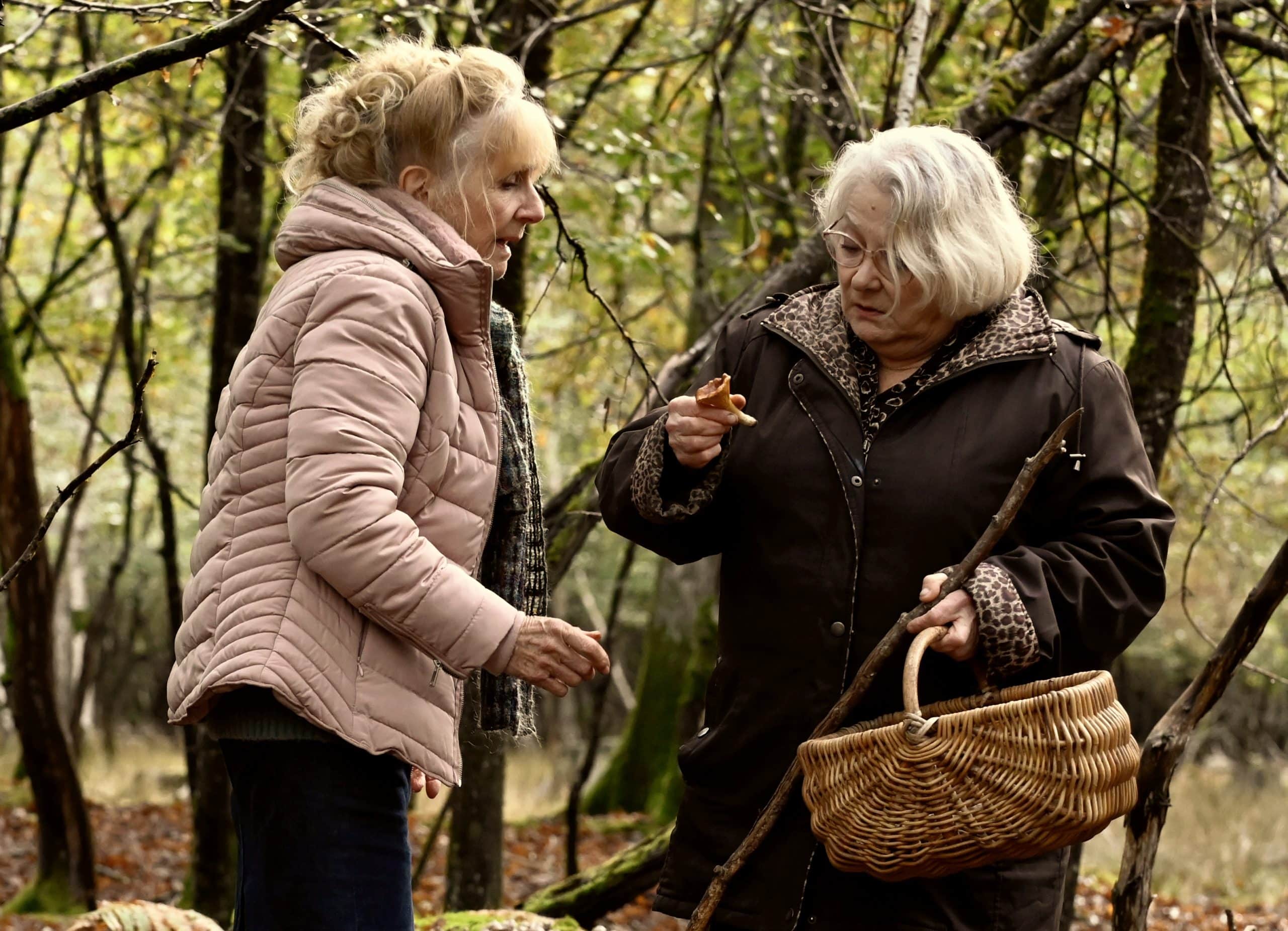 Michelle e marie-claude raccolgono funghi nel bosco in sotto le foglie