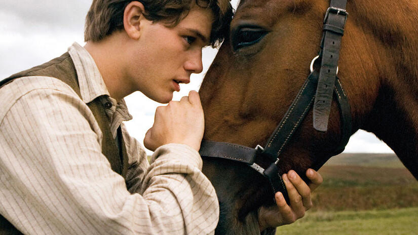 Albert accanto a joey nel film war horse